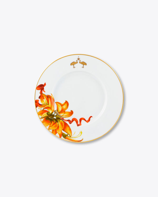 Amazonia Salad + Dessert Plate | Rent