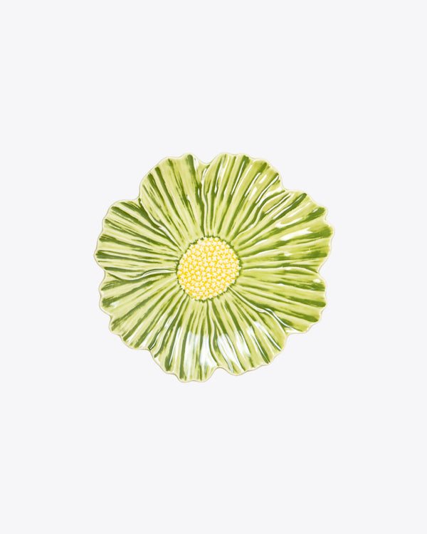 Cosmo Salad + Dessert Plate | Rent