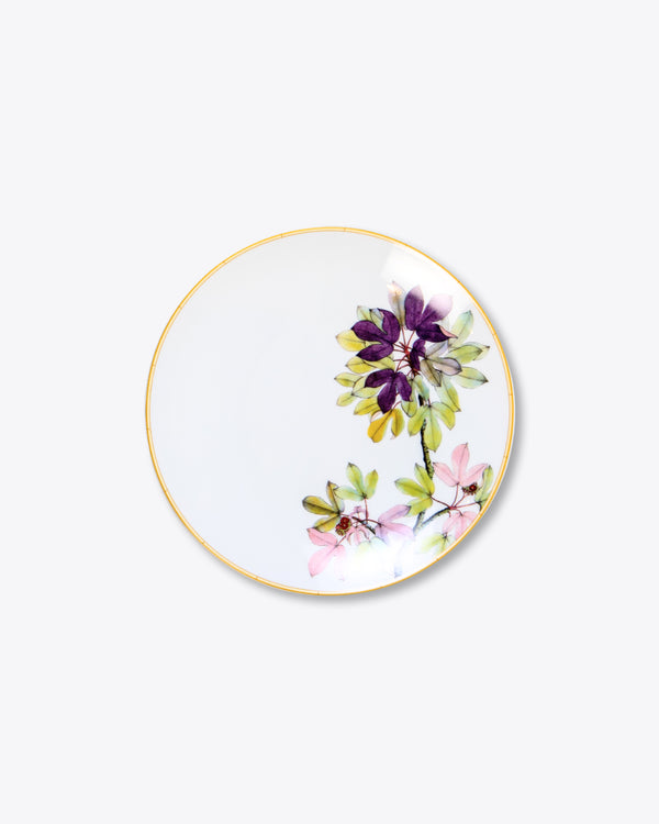 Jardin Celeste Salad + Dessert  Plate | Rent