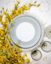 Mineral Set | Rent | Celadon
