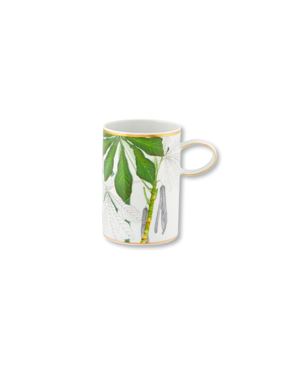 Amazon Mug 4pc