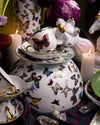Butterfly Coffee Cup + Saucer