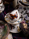 Butterfly Teacup + Saucer