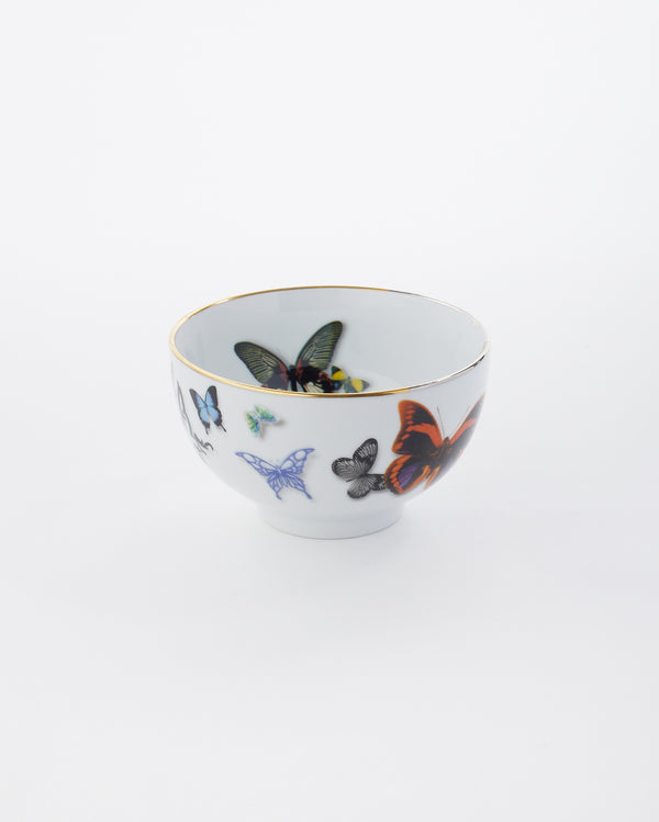 Butterfly Rice Bowl | Rent