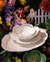 Cabbage Medium Salad Bowl | Beige
