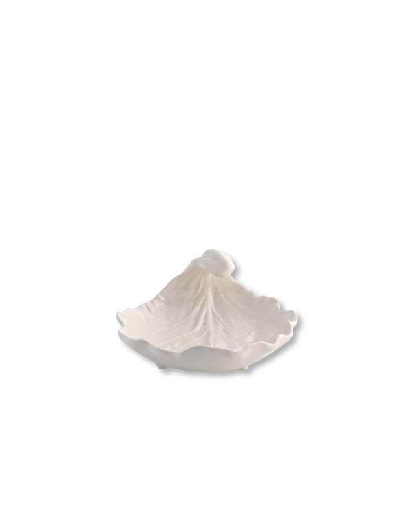 Cabbage Leaf Curvature | Beige
