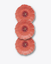 Hibiscus Salad + Dessert Plate