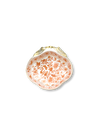 Sacred Bird + Butterfly Shell Dish
