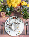 Butterfly Teacup + Saucer